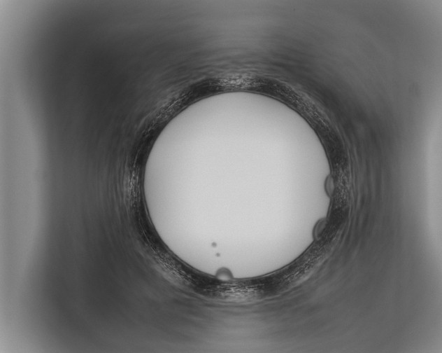 X0000113030601200909171502