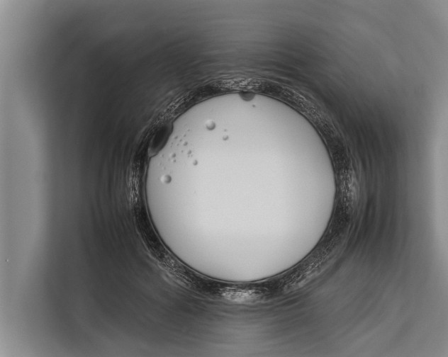 X0000113030602200909171502