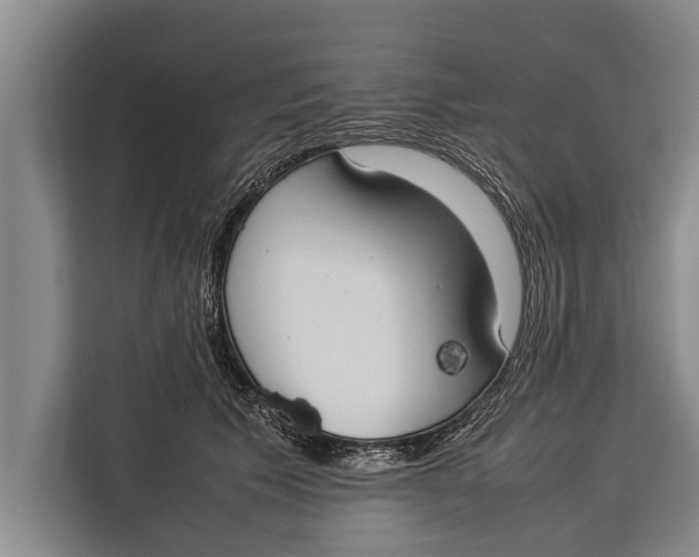 X0000113030609200909171502