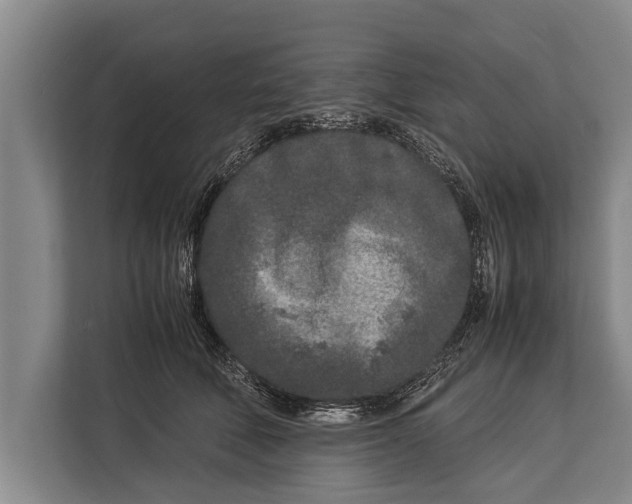 X0000113030610200909171502