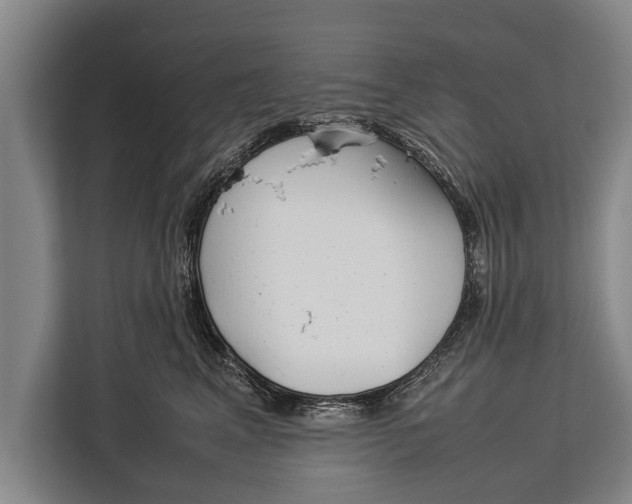 X0000113030617200909171502