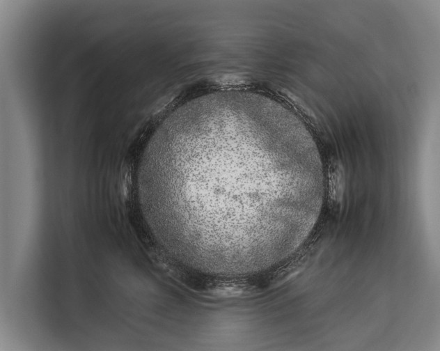 X0000113030618200909171502