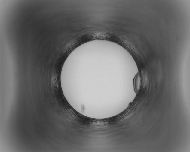 X0000113030619200909171502