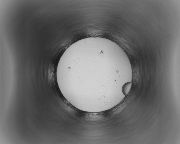 X0000113030622200909171502