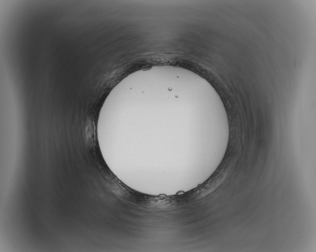 X0000113030624200909171502