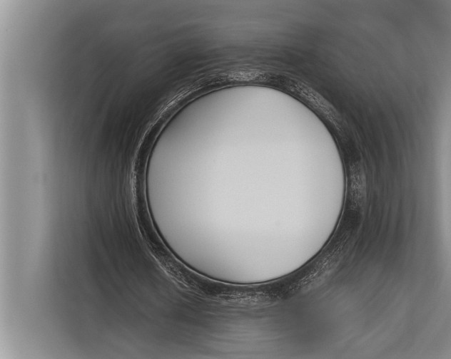 X0000113030626200909171501