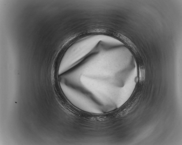 X0000113030627200909171501