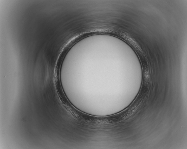 X0000113030628200909171501