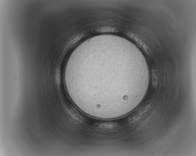 X0000113030631200909171501