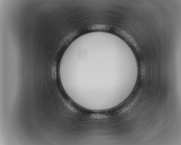 X0000113030633200909171502