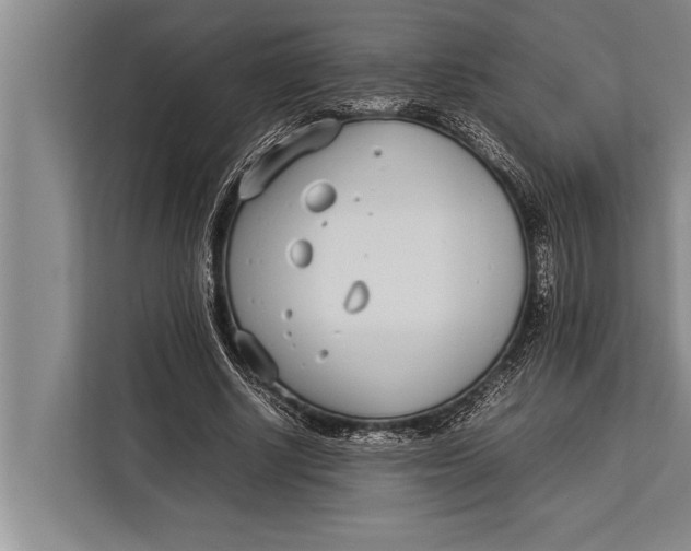 X0000113030634200909171502