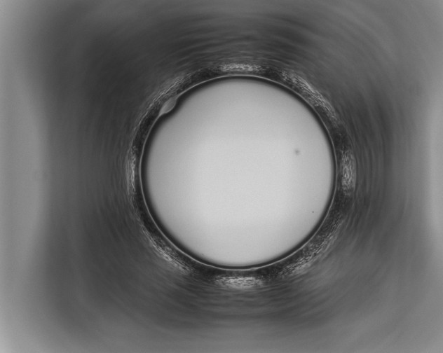 X0000113030637200909171502