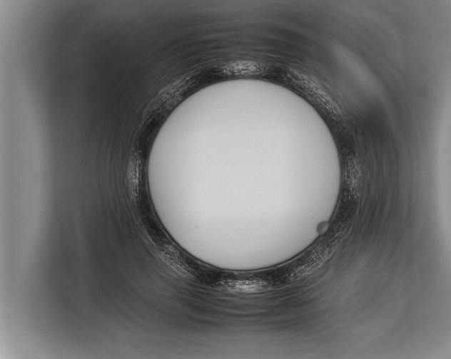 X0000113030645200909171502