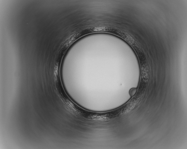 X0000113030648200909171502