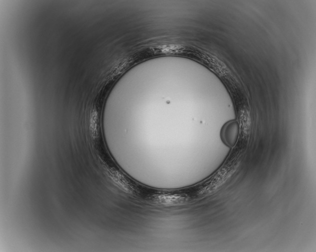 X0000113030650200909171502