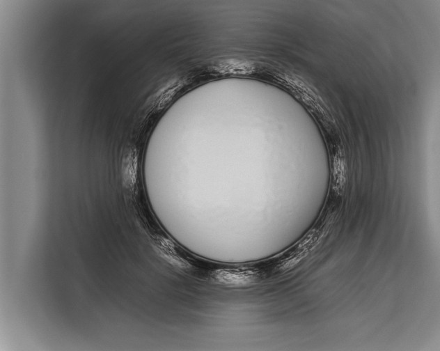 X0000113030652200909171502