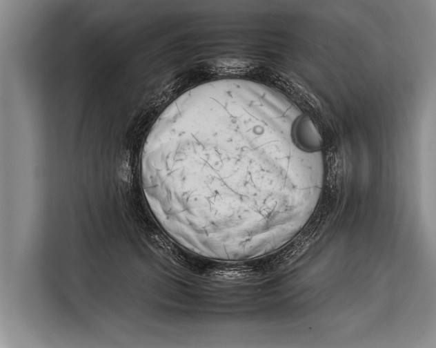 X0000113030655200909171502