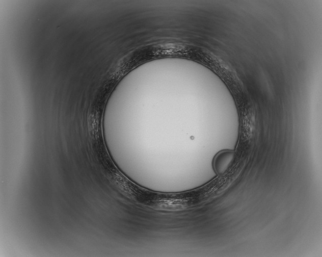 X0000113030657200909171502