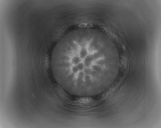 X0000113030659200909171502