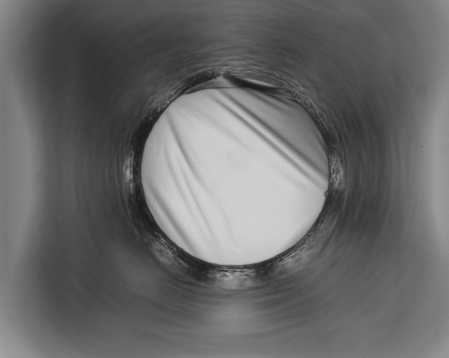 X0000113030670200909171502