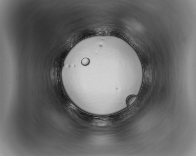 X0000113030671200909171502