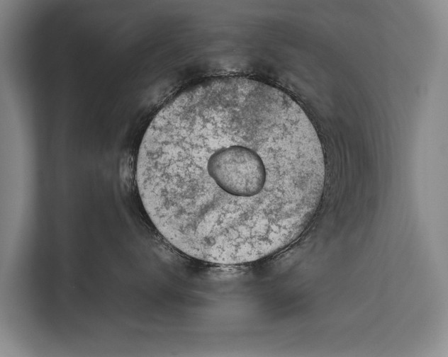 X0000113030672200909171502