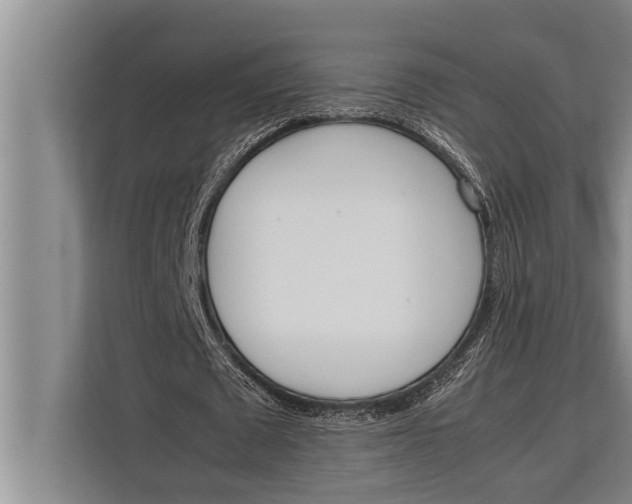 X0000113030673200909171501