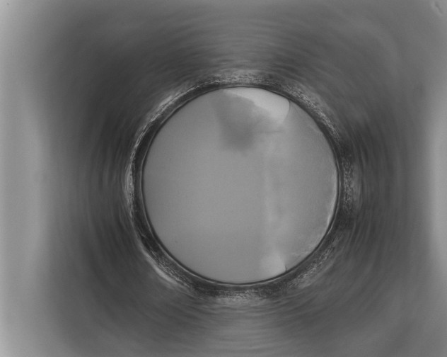 X0000113030674200909171501