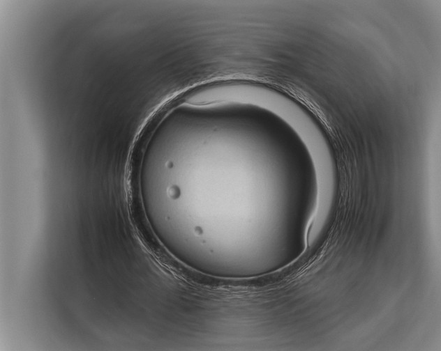 X0000113030676200909171501