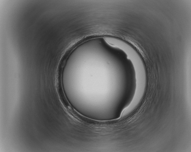 X0000113030677200909171501