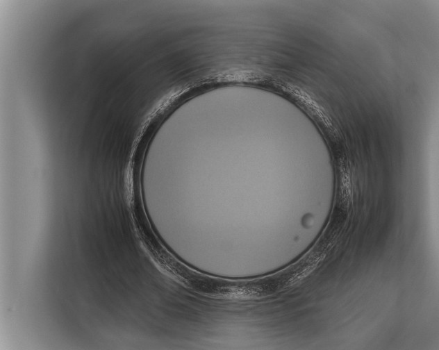 X0000113030678200909171501