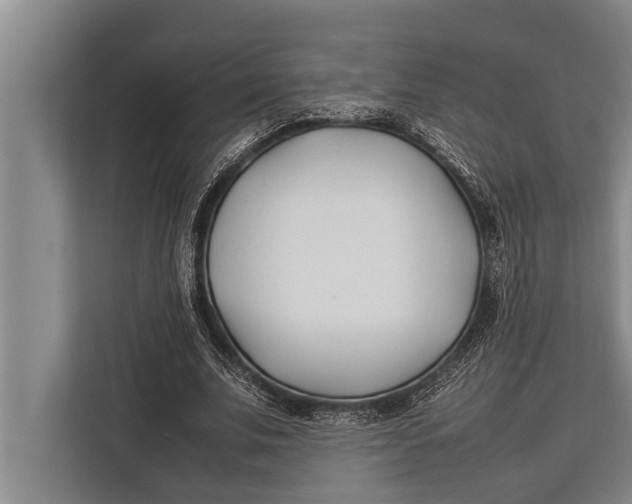 X0000113030679200909171501