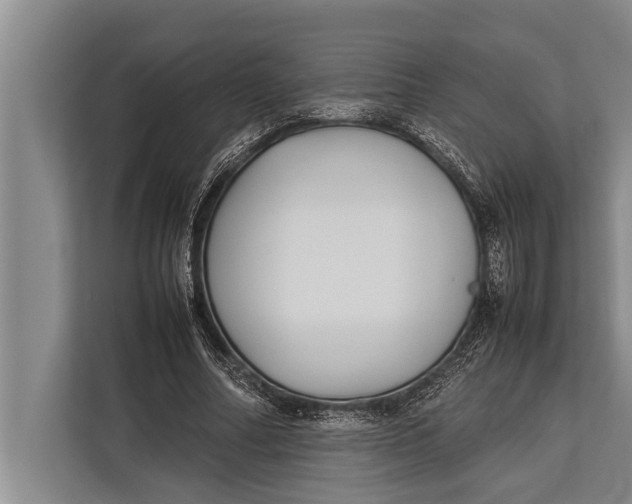 X0000113030682200909171501