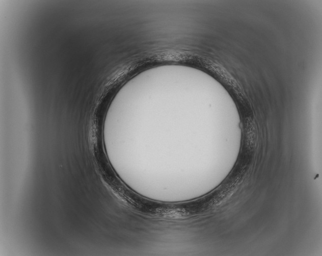 X0000113030683200909171501