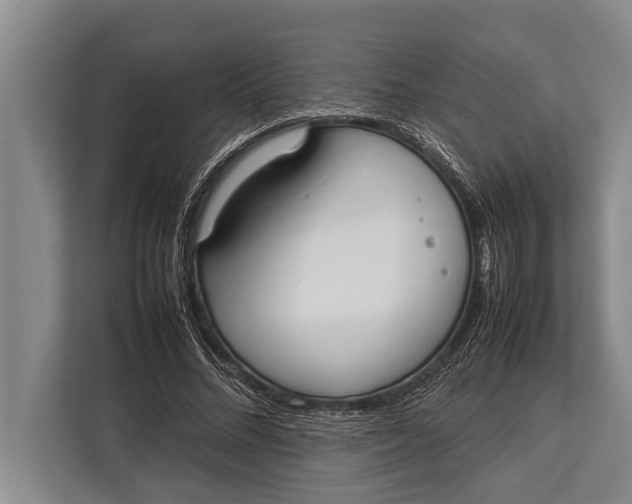 X0000113030684200909171501