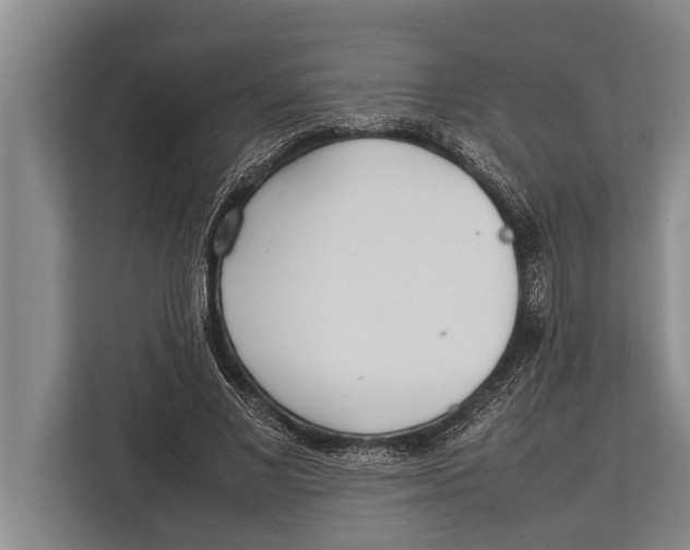 X0000113030685200909171501