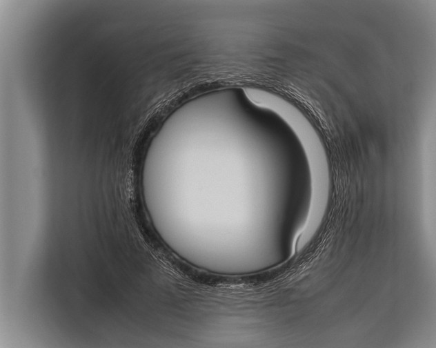 X0000113030689200909171501