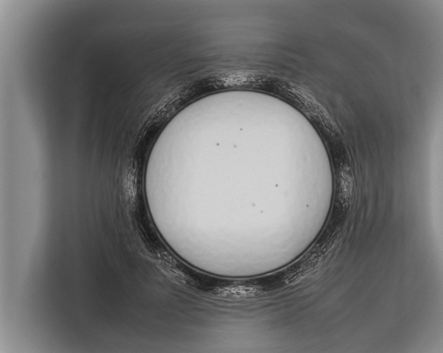 X0000113030691200909171501