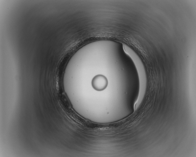 X0000113030692200909171501