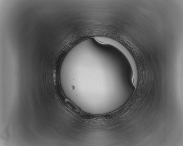 X0000113030696200909171501