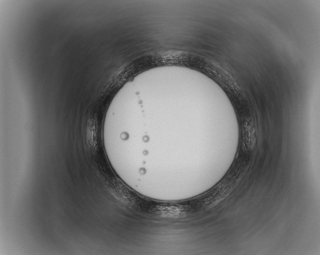 X0000113030698200909171501