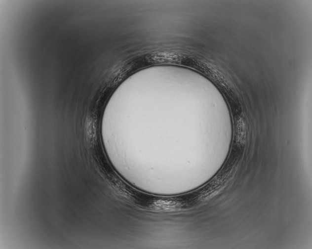 X0000113030699200909171501