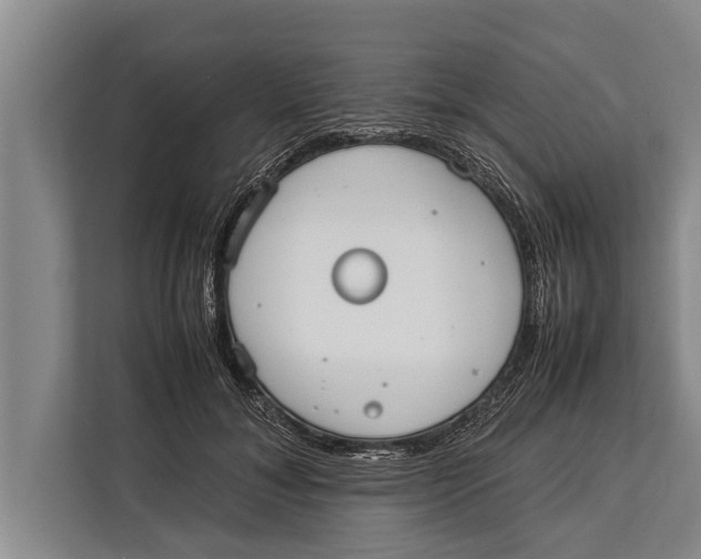 X0000113030700200909171501