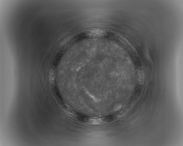 X0000113030701200909171501