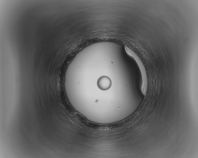 X0000113030704200909171501