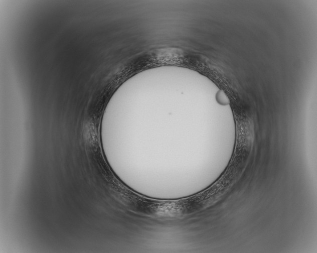 X0000113030705200909171501