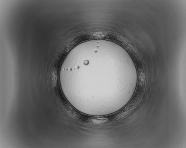 X0000113030707200909171501