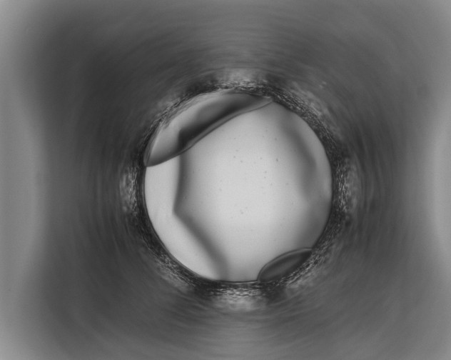 X0000113030708200909171501