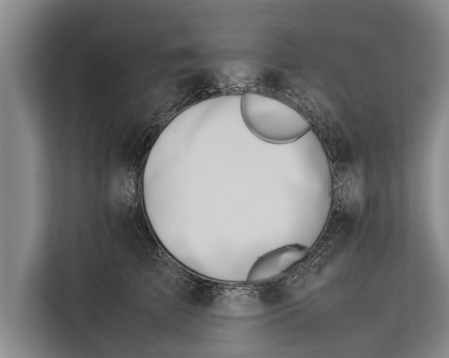 X0000113030709200909171501