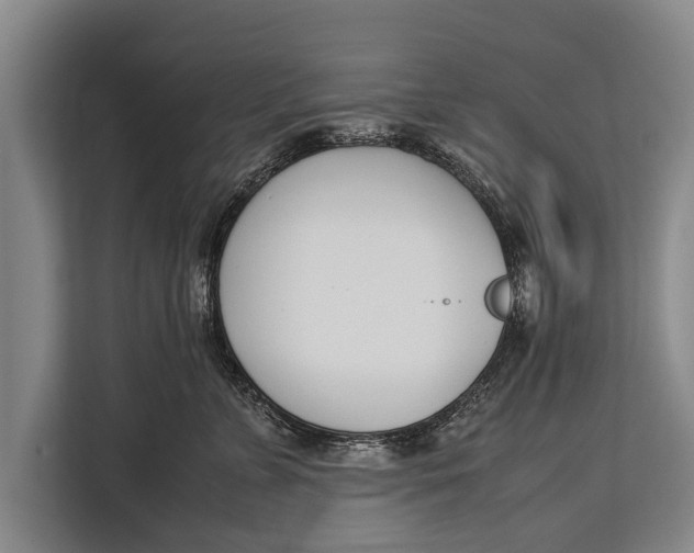 X0000113030715200909171501